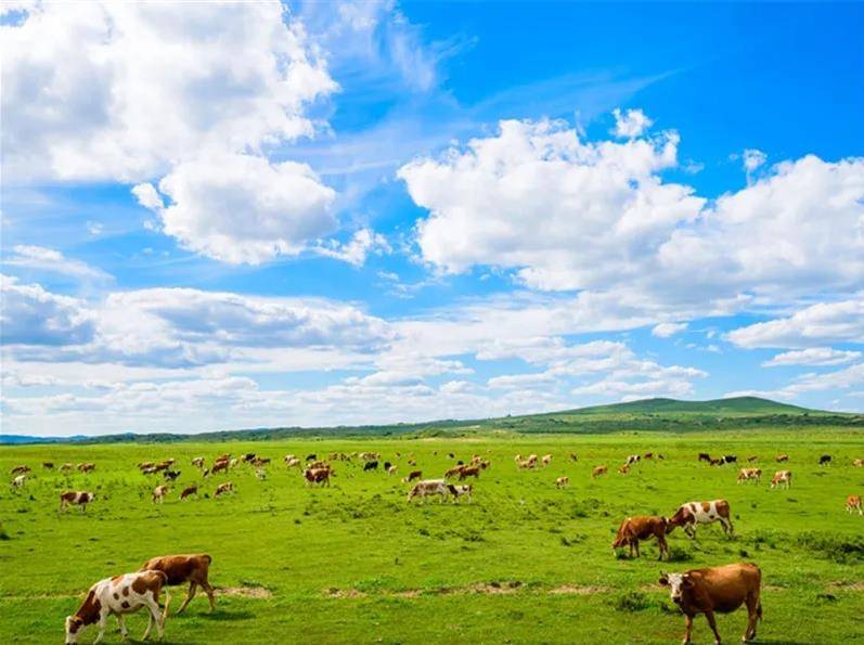 内蒙古，致敬领导与朋友们的尊贵聚会