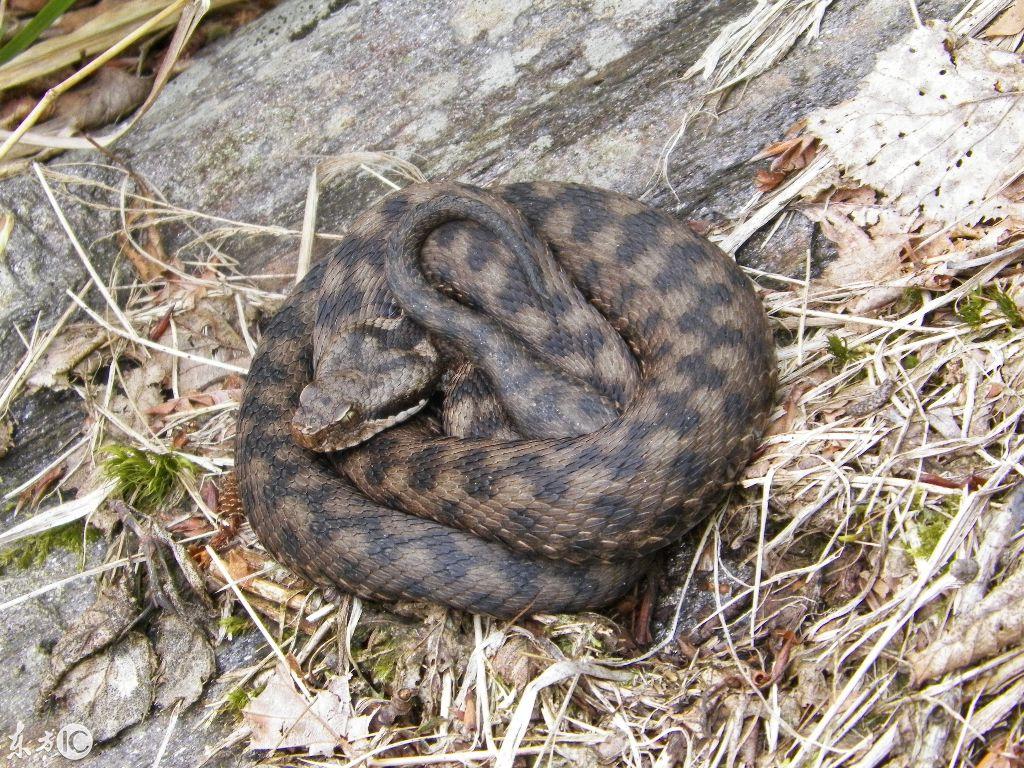 吉林,致尊敬的听众朋友们