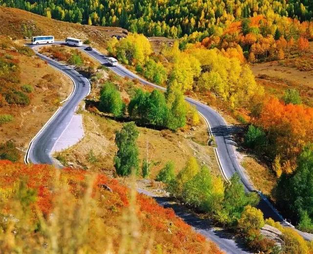 新疆，神秘多元魅力之地的探索与揭秘